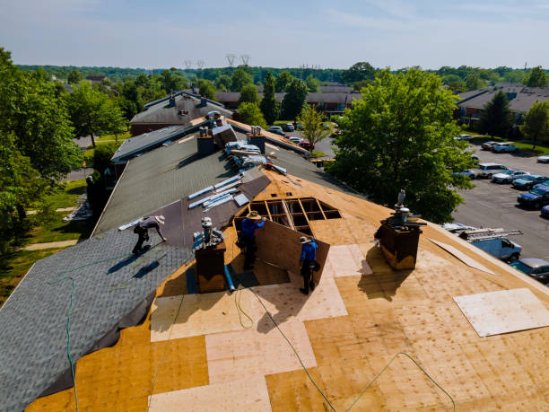 Best Flat Roof Repair Services  in Basye, VA