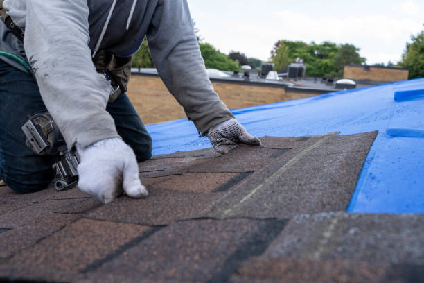Best Roof Gutter Cleaning  in Basye, VA