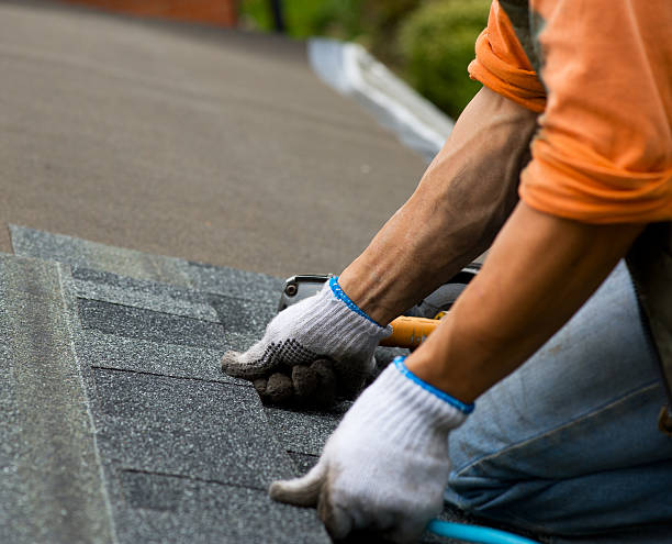 Best Roof Inspection Near Me  in Basye, VA