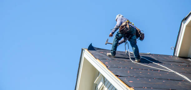 Best Roof Leak Repair  in Basye, VA